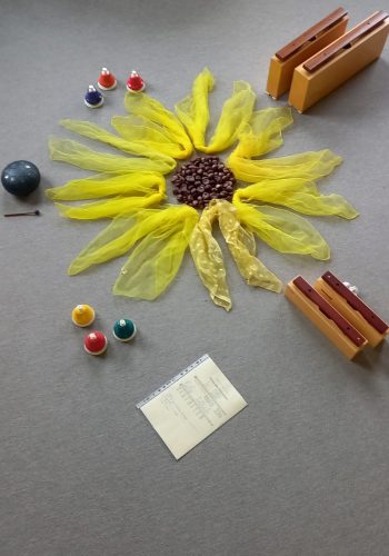 Sommerwind und Blumenwiese